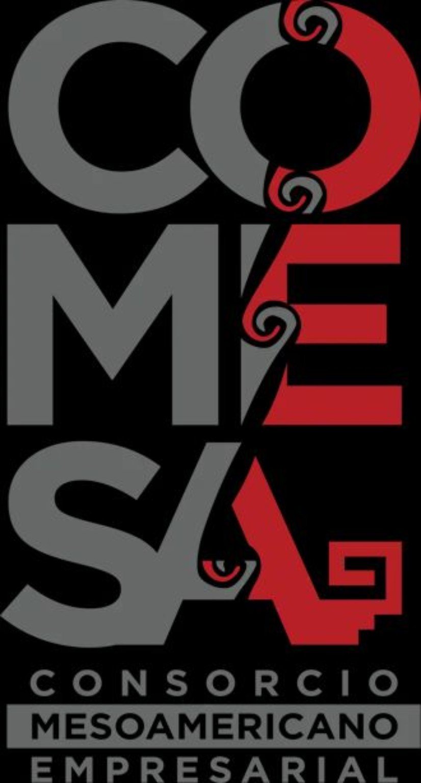 COMESA — Consorcio Mesoamericano Empresarial